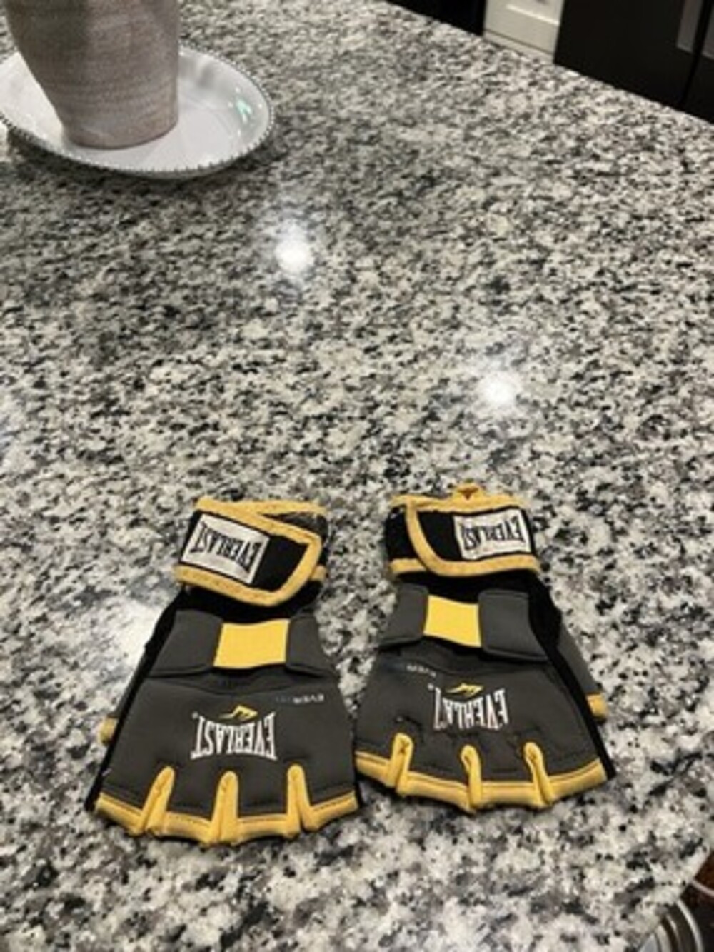 Everlast Boxing Gloves Used